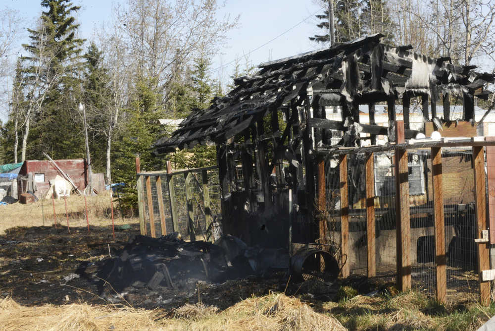 Five area agencies including the Kenai Fire Department and Alaska Division of Forestry responded to a fire that consumed two sheds and a chicken coop Thursday, April 21, 2016 on North Dogwood Road in Kenai, Alaska. The fire also burnt the outside of a home on the property, but no one was hurt.
