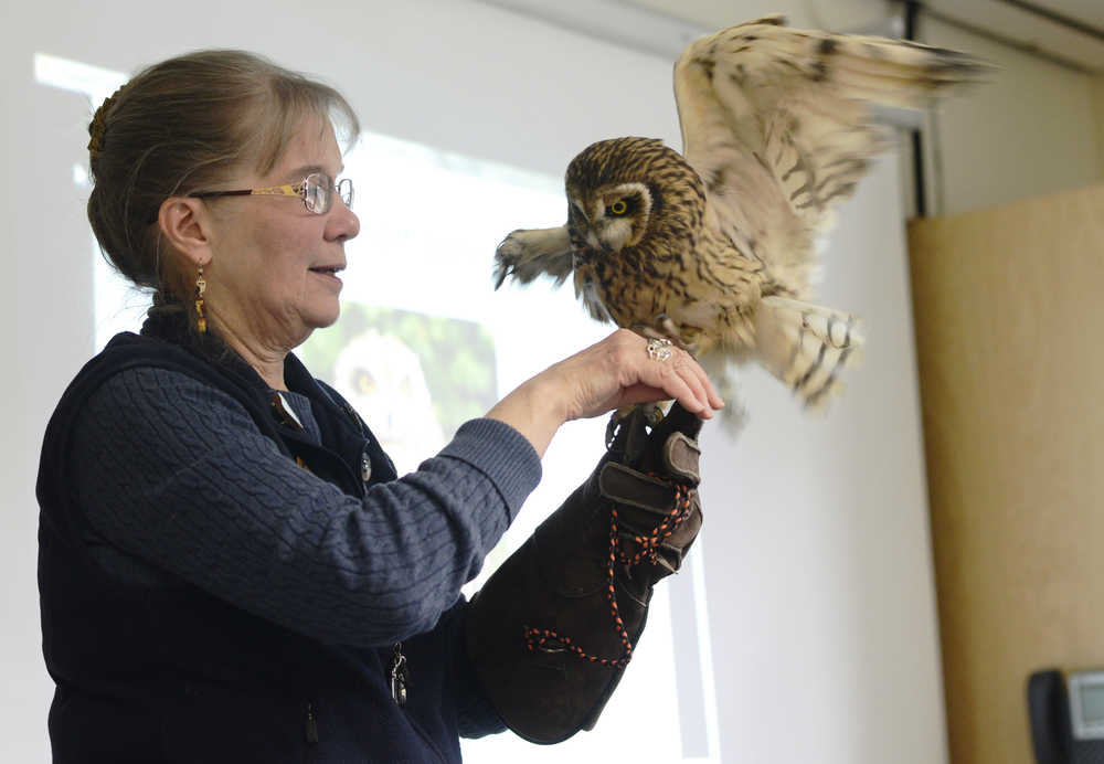 Bird Treatment and Learning Center volunteer Sharon Larson displays a rescued short-eared owl to a group of Girl Scouts during her presentation at the Women of Science event on Saturday, April 30 at Kenai Peninsula College.