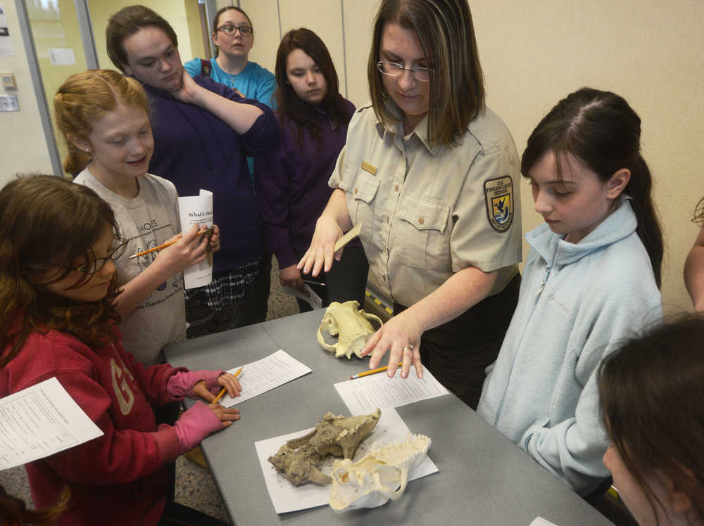 Girl Scouts examine a pair of skulls - one a wolf, the other a mystery - with Kenai National Wildlife Refuge Park Ranger Leah Eskelin during the Women of Science event on Saturday, April 30 at Kenai Peninsula College.