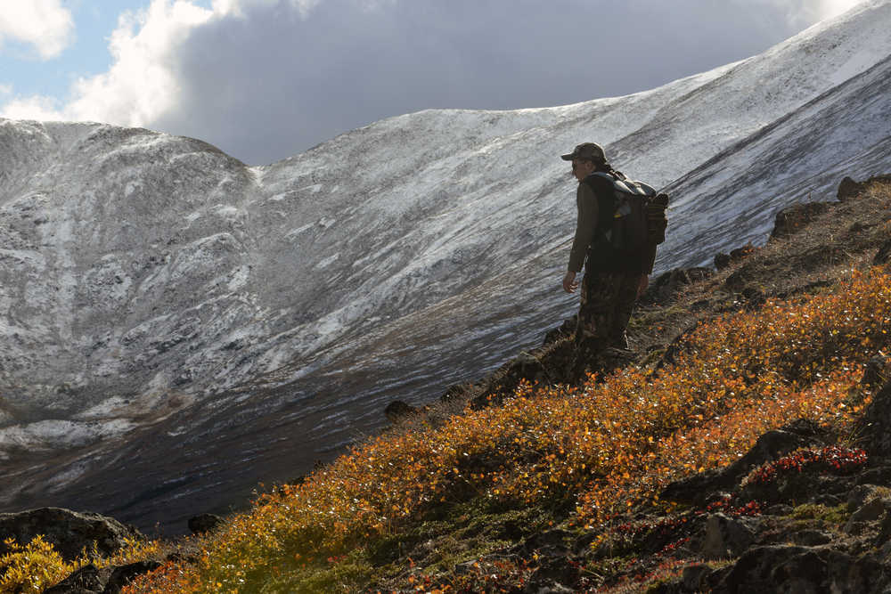 Elwood Brehmer watches a bear during a trip up the remote Cottonwood Creek Trail on Sept. 19, 2015 on Skilak Lake. For any excursion, there are a few simple items hikers should bring along just in case things don't go according to plan. (Clarion file photo)