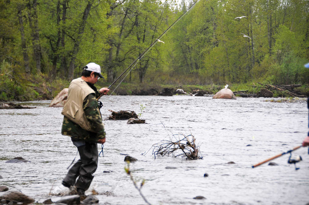 Photo by Elizabeth Earl/Peninsula Clarion Tom Toguchi of Anchorage steps out into the Anchor River on Saturday, May 21, 2016, to hand a fishing pole to his son, who was still hunting for king salmon in the river. Toguchi had already caught his for the day.