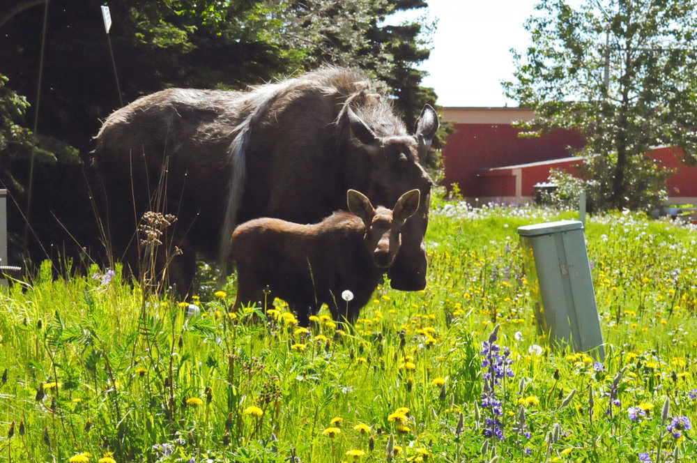 Photo: Lunch with Mom