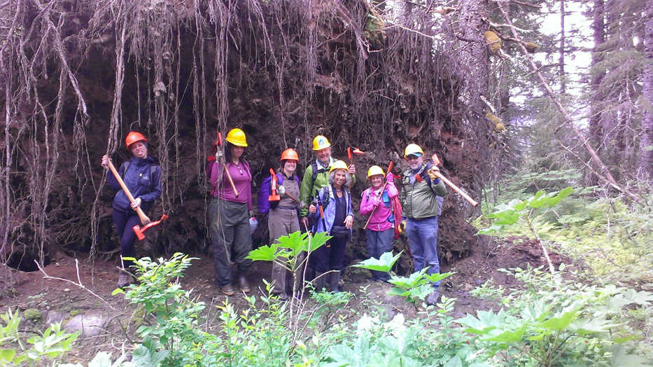 A volunteer crew works on a trail project in Kachemak Bay State Park.