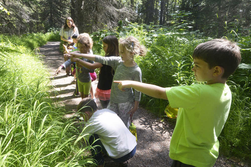 Photo by Megan Pacer/Peninsula Clarion Area children going into second and third grade identify plants along the trail during "Fish Day" at a Kenai National Wildlife Refuge Critter Camp on Wednesday, June 22, 2016 at the refuge visitor center in Soldotna, Alaska. Each day in the camp session, led by Education Specialist Michelle Ostrowski and education interns, has its own outdoor theme. The kids spent Wednesday learning about the water cycle, streams and other things to do with fish.