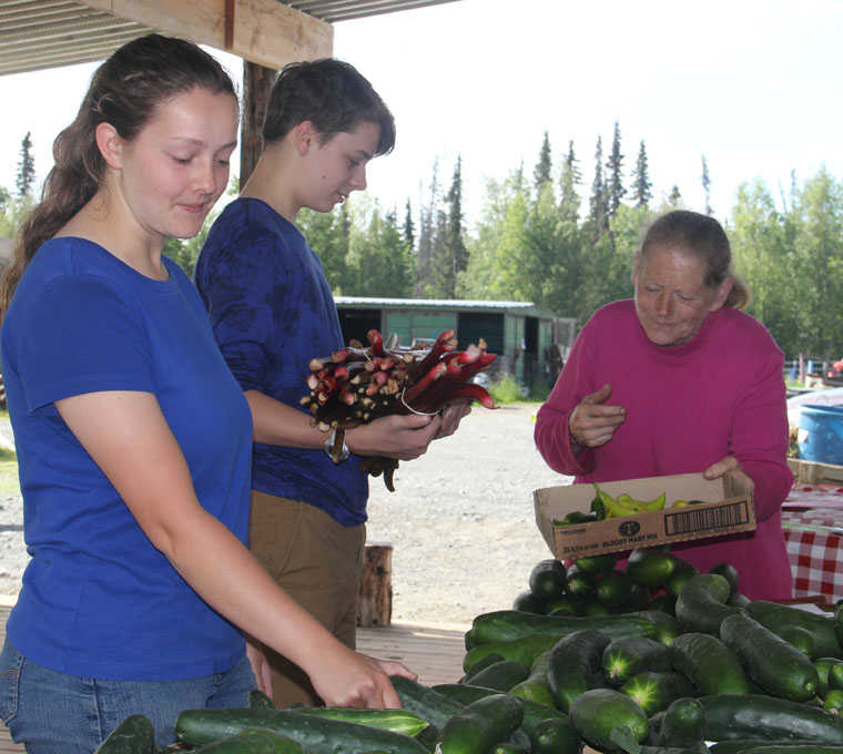 Ridgeway Farms connects community to local agriculture