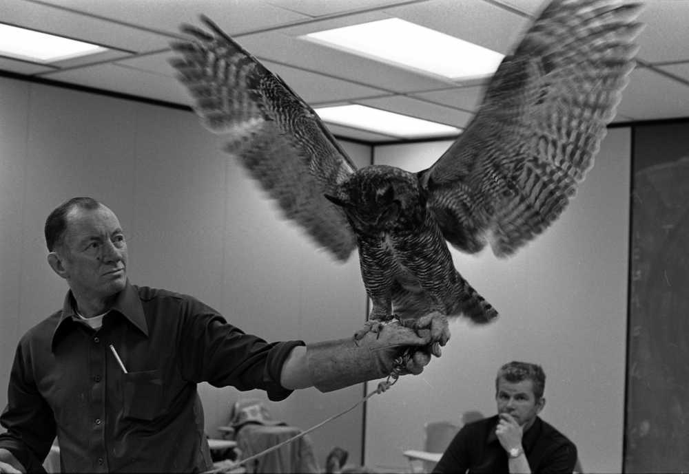 Photo courtesy UAA Consortium Library In this 1975 photo, Kenai Peninsula College professor Boyd Shaffer holds an owl at the college in Soldotna, Alaska. Shaffer, who was known for his love of art and nature, died June 25 at 90.