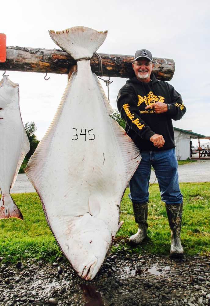 Photo courtesy Jimmie Jack's Alaska Lodge John Collis caught a 345-pound halibut out of the port of Ninilchik on July 9 aboard the charter vessel "Unforgiven" with Capt. Charlie Barberini of Jimmie Jack Fishing.