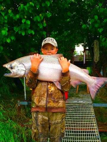 Photo courtesy Leon James Silas Phillips, 12, of Vale, Oregon, shows off the 40-pound, 41-inch Kenai River king salmon he caught off a dock July 5. This is Phillips' first king, James said.
