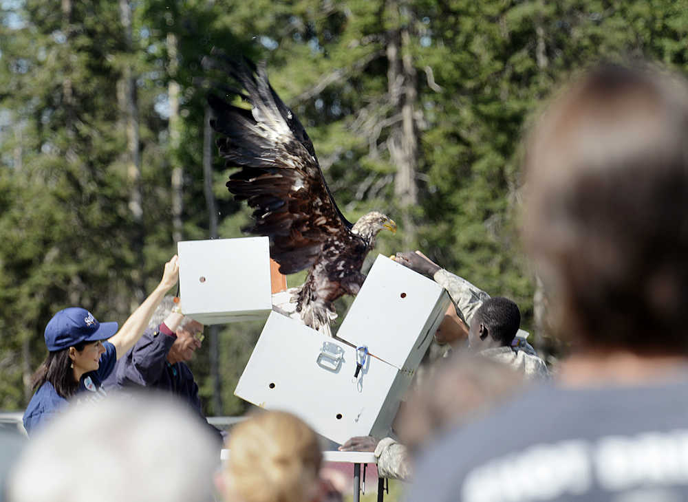 Eagle to be released