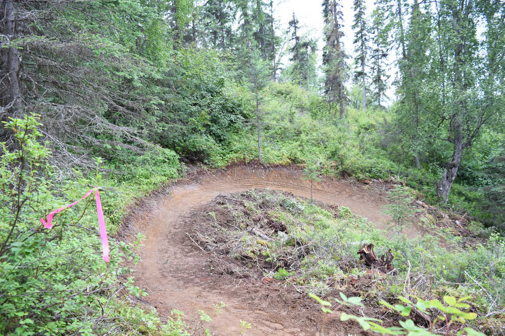 Photo by Megan Pacer/Peninsula Clarion Members of Ptarmigan Ptrials worked to make sure the new singletrack going in at Tsalteshi Trails, picutred Wednesday, July 27, 2016, has a flow that will make it enjoyable for bikers to ride. Though the trail is optimized for bikers, it will be multiuse.