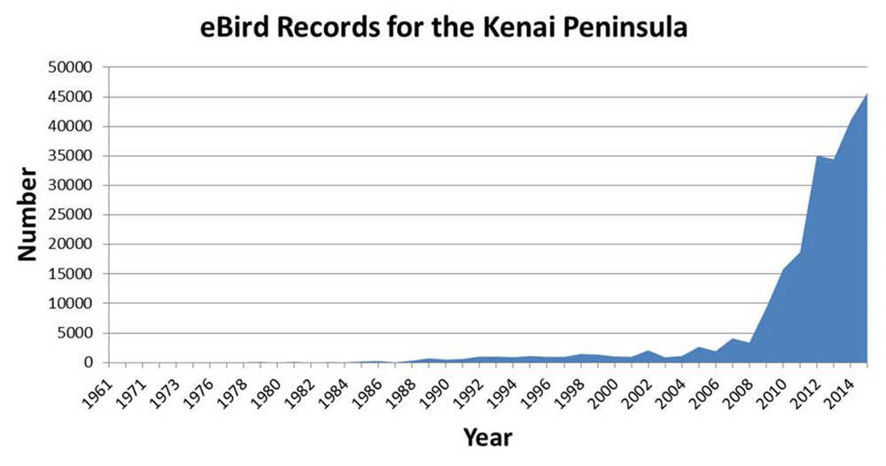 Bird observations recorded in an online database (www.ebird.org) for the Kenai Peninsula have increased dramatically in recent years. (Graph by D. Magness)