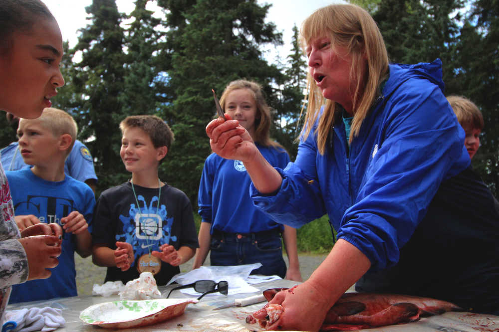 Ben Boettger/Peninsula Clarion Cathy Cline, a project technician with the Cook Inlet Aquaculture Association, displays an otolith she extracted from a hatchery-raised chinook to children dissecting fish at the Kenai National Wildlife Refuge's "Get Out and Get Dirty" daycamp on Thursday, July 28 at the Kenai National Wildlife headquarters in Soldotna. An otolith is a fish's earbone, which grows in layers of varying thickness dependent on the fish's water temperature. Hatcheries vary water temperature to produce an otolithic "signature" identifying the fish's origin. Cline, who describes herself as CIAA's "otolith reader" said she microscopically examines around 10,000 otoliths per year - sampled from fish delivered to processors - to learn about the fish's environment and the sucesses of various hatcheries.