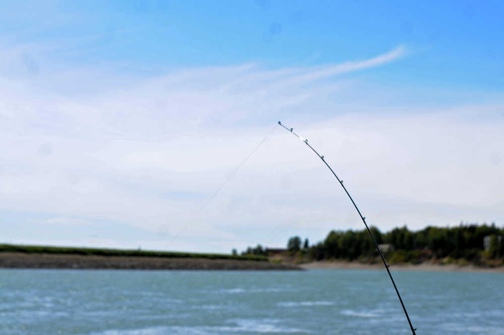 Photo by Elizabeth Earl/Peninsula Clarion An angler's line pulls tight against the current of the Kenai River on Wednesday, Aug. 3, 2016 at Cunningham Park in Kenai, Alaska.