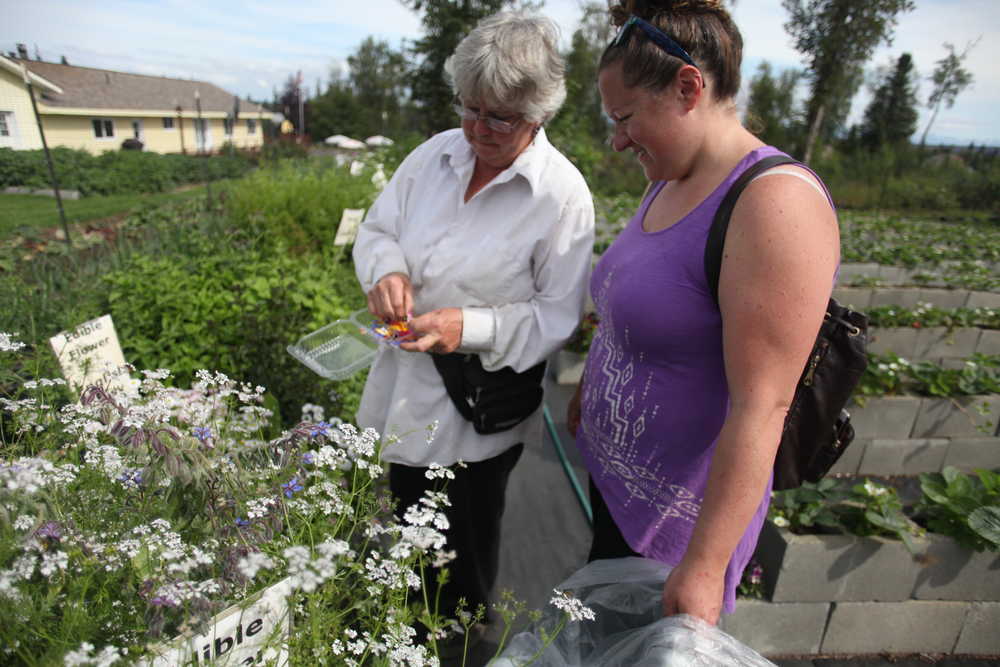 Photo by Kelly Sullivan/ Peninsula Clarion Bobbi Jackson and Courtney Kirkeby look over the selection of edible plants and herbs open for U-Pickers on Wednesday, Aug. 3, 2016, at Jackson Gardens in Kasilof, Alaska.