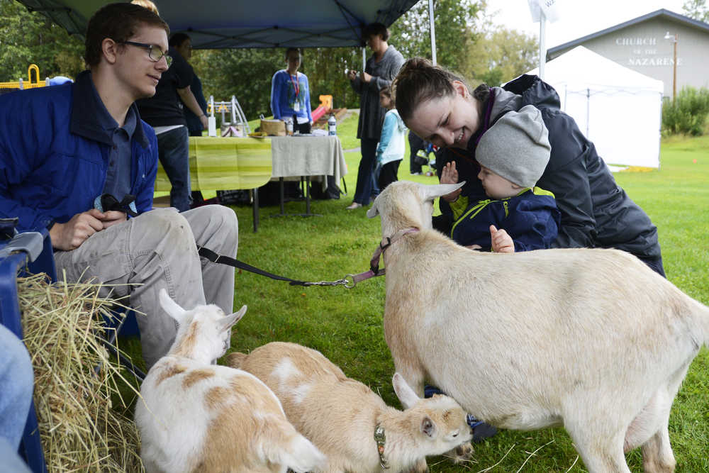 Photo by Megan Pacer/Peninsula Clarion  Lucas White, 1, greets a goat with his mother, Linzey White, of Kenai, on Saturday, Aug. 6, 2016 during The Global Big Latch On, held locally at Farnsworth Park in Soldotna, Alaska. The event raises awareness and support for breatsfeeding moms worldwide.