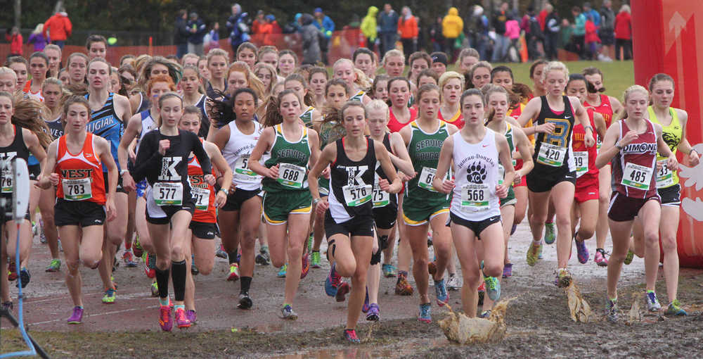 Photo by Joey Klecka/Peninsula Clarion The field of Class 4A runners takes off on the Bartlett High School trails Oct. 3, 2015. Leading the way is Kenai Central's Jaycie Calvert (577) and Riana Boonstra (576). West Anchorage runner Molly Gellert (783) won the race.