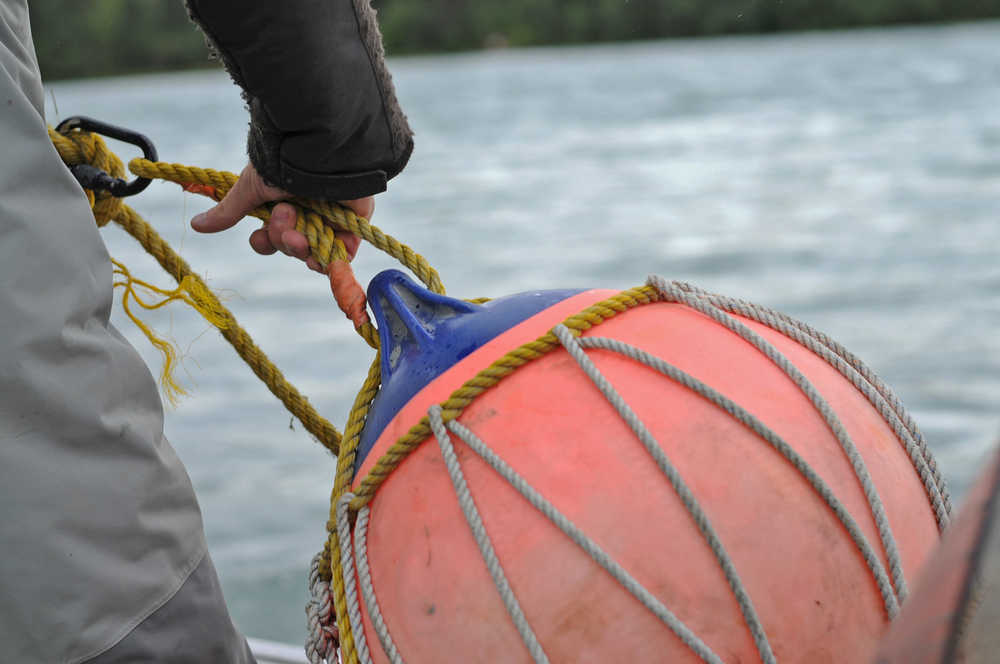 Photo by Elizabeth Earl/Peninsula Clarion Daniel Reynolds, an environmental technician with the Ninilchik Traditional Council, prepares to place the buoy marking the tribe's subsistence gillnet on the Kenai River on Sunday, Aug. 14, 2016 near Soldotna, Alaska. The tribe gained approval for the controversial net on July 27 and was able to fish it until Aug. 15.