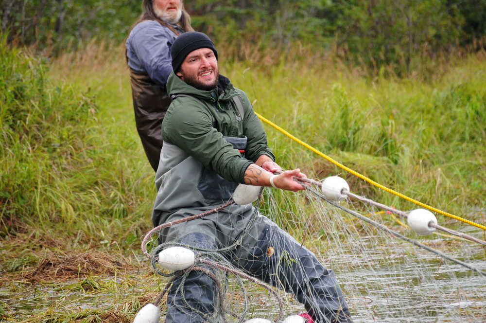 Photo by Elizabeth Earl/Peninsula Clarion Danield Reynolds, an environmental technician with the Ninilchik Traditional Council, deposits a salmon caught by the tribe's subsistence gillnet on the Kenai River on Sunday, Aug. 14, 2016 near Soldotna, Alaska. The tribe gained approval for the controversial net on July 27 and was able to fish it until Aug. 15.