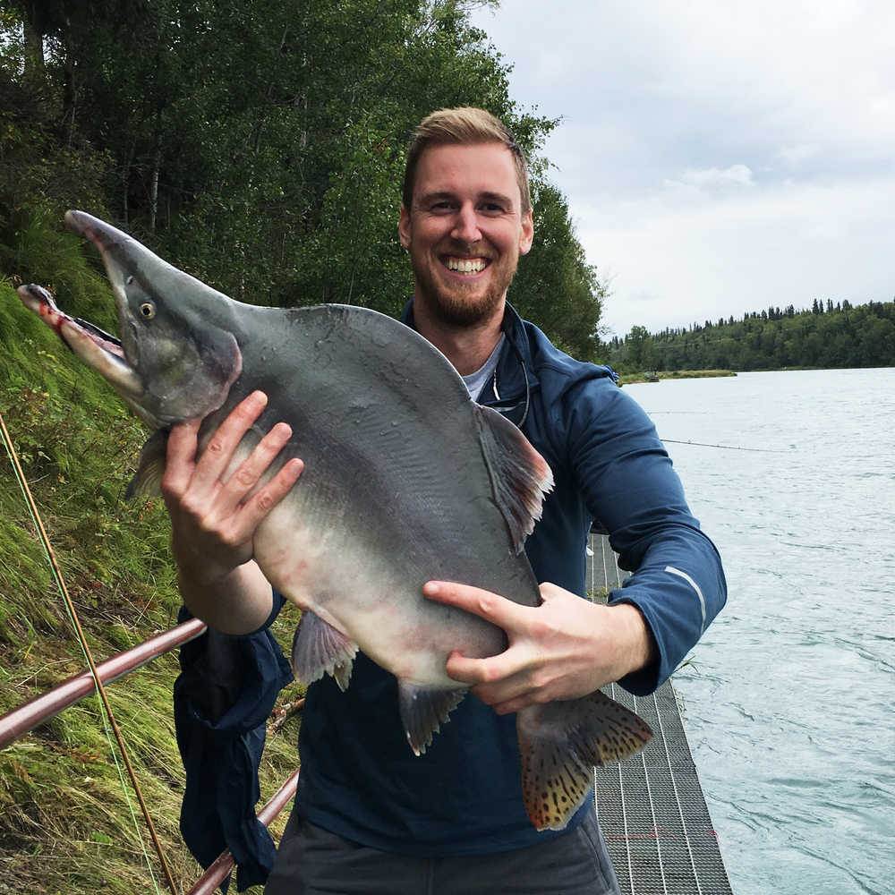 Photo courtesy Darren Woodhead Wade Hudson presents his unofficial Alaska record pink salmon. Unfortunately, weights and measurements weren't recorded prior to the behemoth's release.