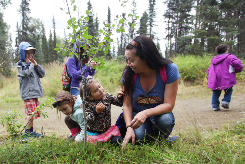(Left to right) Kalista, Shaunzi and Kimbra Clements crouch in a patch of low bush cranberries Monday, Aug. 15, 2016 on Tsalteshi Trails' Wolverine Trail in Soldotna, Alaska. The trio attended the walk led by Janice Chumley, Integrated Pest Management Technician for the Kenai branch of the University of Alaska Fairbanks Cooperative Extension Service, for the Harvest Moon Festival. Kimbra said they wanted to learn about picking berries, and being a single mother, it helps to have extra resources.