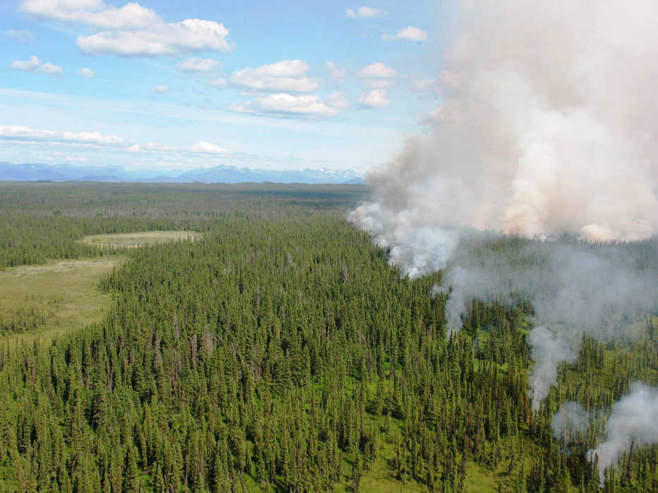 The 2009 Shanta Creek Fire, located in Congressionally-designated Wilderness on the Kenai National Wildlife Refuge, was managed as a natural ecosystem process. (Photo courtesy Kenai National Wildlife Refuge)