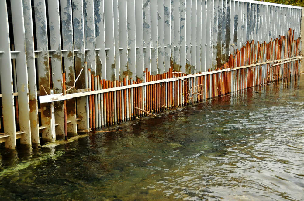 Photo by Elizabeth Earl/Peninsula Clarion The weir at the top of Cook Inlet Aquaculture Association's Paint River fish ladder, photographed Friday, Sept. 2, 2016 near the McNeil River Game Sanctuary, Alaska, screens fish into a small opening before allowing them to pass into the upper part of the Paint River. CIAA operates the fish ladder to allow salmon to pass into the upper reaches of the remote river system to spawn.