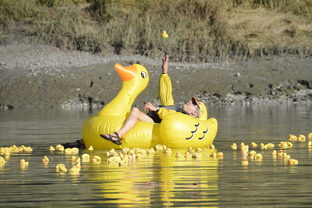 Photo by Megan Pacer/Peninsula Clarion Kenai Lions Club secretary and treasurer Dennis Swarner tosses a rubber duck into the air during the organization's 20th Rubber Ducky Race fundraiser Saturday, Sept. 10, 2016 on the Kenai River at Cunningham Park in Kenai, Alaska. This is the largest general fundraiser for the Kenai Lions Club, which is celebrating its 50th anniversary. The organization sold about 550 ducks this year, Swarner said.
