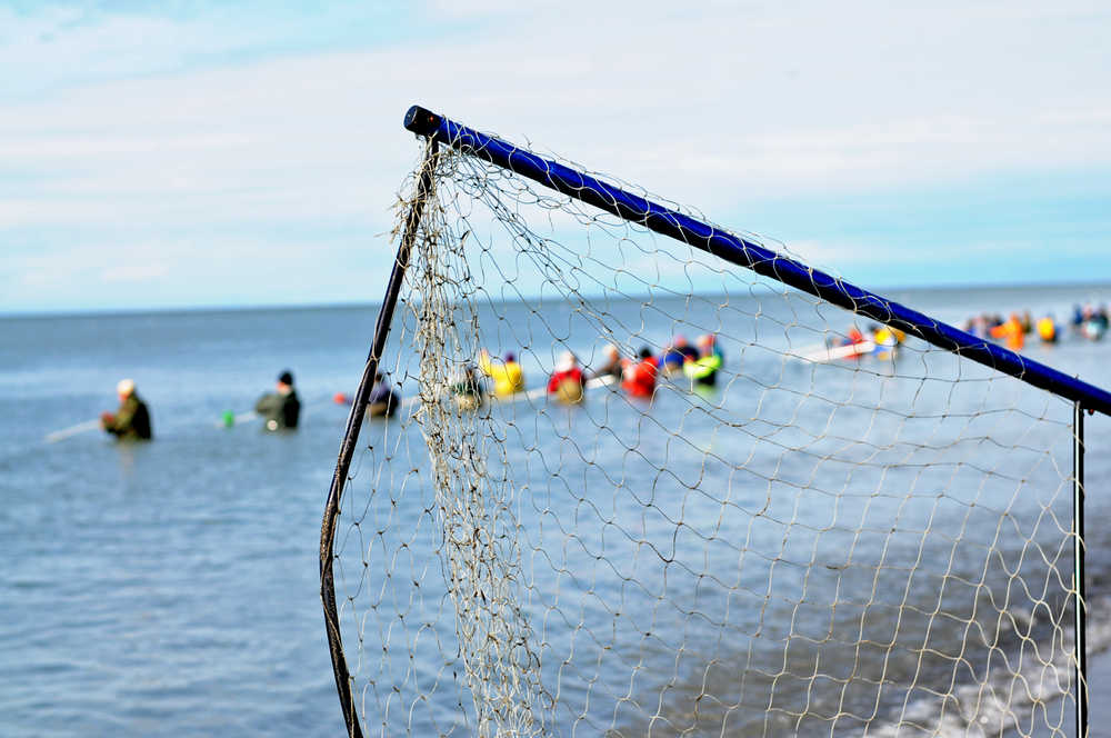 Photo by Elizabeth Earl/Peninsula Clarion A fisherman prepares to head out into the water on the north beach of the Kenai River during the personal use dipnet fishery July 10, 2016 in Kenai, Alaska.