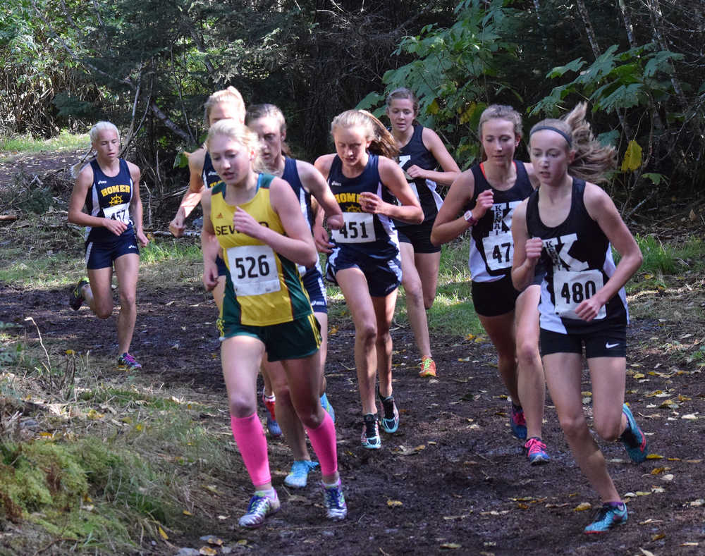 Photo by Jeff Helminiak/Peninsula Clarion Seward junior Ruby Lindquist (526) leads a large lead pack early in the varsity girls race Tuesday at the Kenai Peninsula Borough race in Seward.