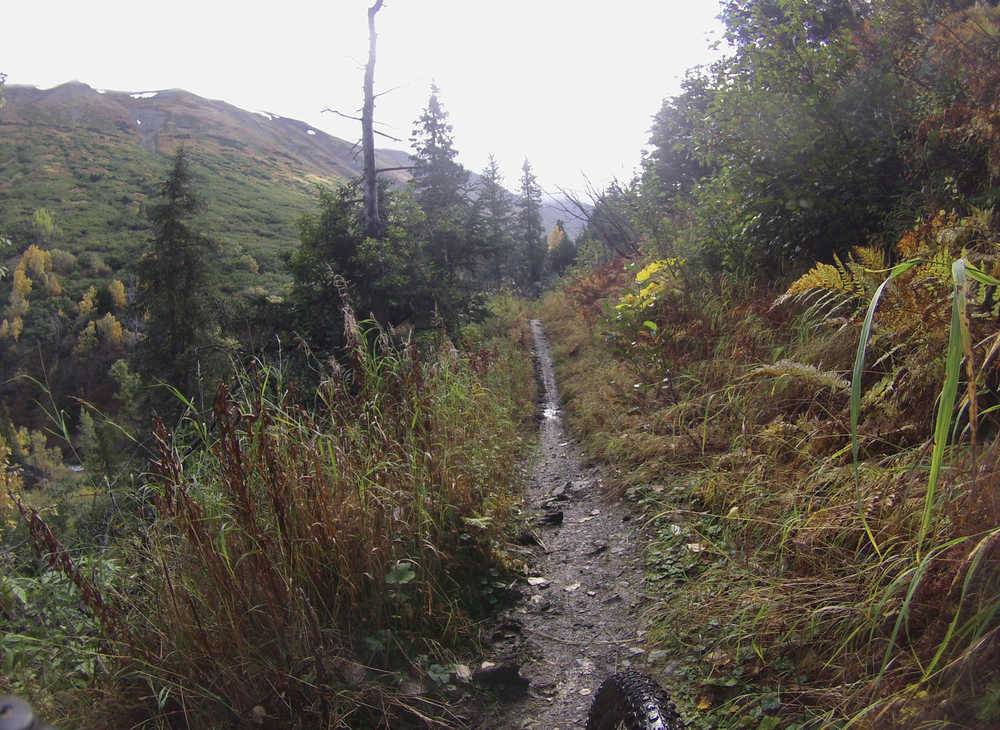 Plenty of signs of autumn mark the Crescent Creek Trail in Chugach National Forest near Cooper Landing Sunday. The 6.2-mile trail climbs from Quartz Creek Road to Crescent Lake.