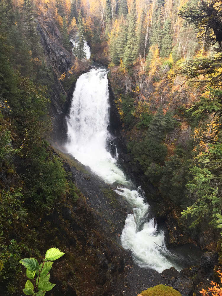 Photo by Megan Pacer/Peninsula Clarion Mushrooms and other plant life line the Resurrection Pass trail Monday, Sept. 26, 2016 in Cooper Landing, Alaska. The last of the Fall colors are making their stand before the leaves and ground are overcome by frost this season.