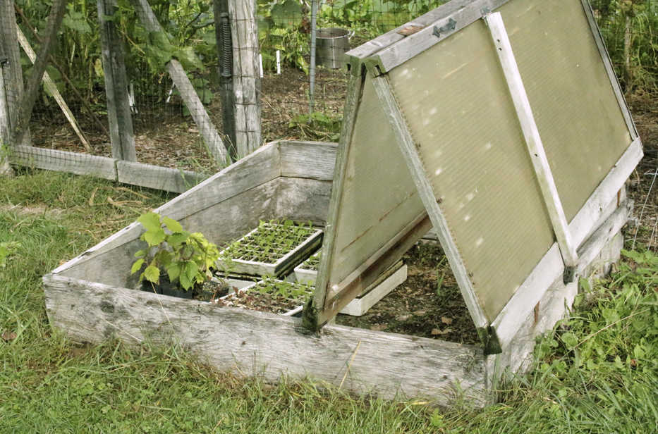 This undated photo shows a bi-fold coldframe in New Paltz, N.Y. Seedlings can keep warm and cozy even in cold weather when the bi-fold cover of this coldframe is closed to capture and hold the sun's warmth. (Lee Reich via AP)