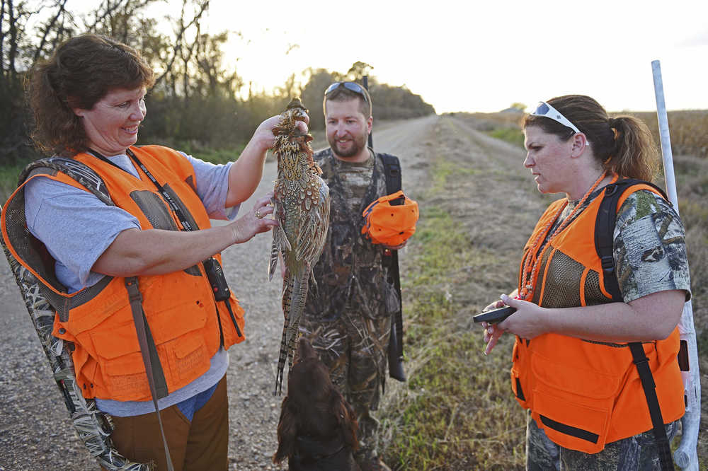 ADVANCE FOR SUNDAY OCT. 30 - In this Oct. 15, 2016 photo, Chad Schaeffer, his wife Jen Schaeffer, both of Sioux Falls, and Carol Bothe, of Brandon, S.D., talk about a pheasant Chad had just shot after hunting their final piece of cover during the South Dakota pheasant hunting opener near Brookings, S.D. The Argus Leader reports that the number of women obtaining pheasant hunting licenses in South Dakota has almost doubled in the last 10 years, reflecting a shift in culture and the success of hunting education programs. (Joe Ahlquist/The Argus Leader via AP)