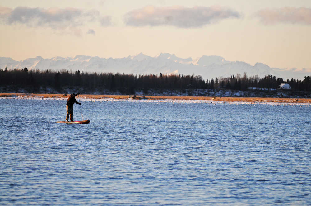 Photo by Elizabeth Earl/Peninsula Clarion Bridger Edwards of Kenai paddleboards up a section of the Kenai River just below the Warren Ames Bridge on Monday, Nov. 28, 2016 in Kenai, Alaska. Edwards said he regularly paddles the Kenai River at flood tides and was wearing a dry suit to guard against the freezing temperatures Monday. Seals bobbed up through the river behind him, and icy slush lapped at the snowy shore. Edwards said he paddled up the estuary to the south of the river toward Kalifornsky Beach Road and was breaking through ice.