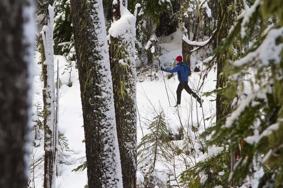 ADVANCE FOR WEEKEND EDITIONS, DEC. 17-18 - FILE - In this Dec. 9, 2012, file photo, an unidentified skier heads through the woods at Teacup Lake nordic cross country ski area on Mount Hood near Hood River, Ore. The opportunity to experience the region's dramatic landscapes dusted in winter white, often with no other people around, more than makes up for any minor discomforts while winter camping. (Mike Siegel/The Seattle Times via AP, File)