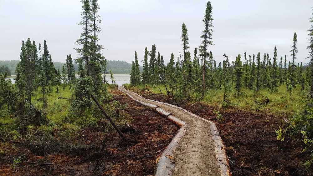 The 3-mile-long Marsh Lake Trail was newly completed in 2016 on the Kenai National Wildlife Refuge. The logs came from trees removed as part of treatments to reduce fuels around Sterling this past summer.