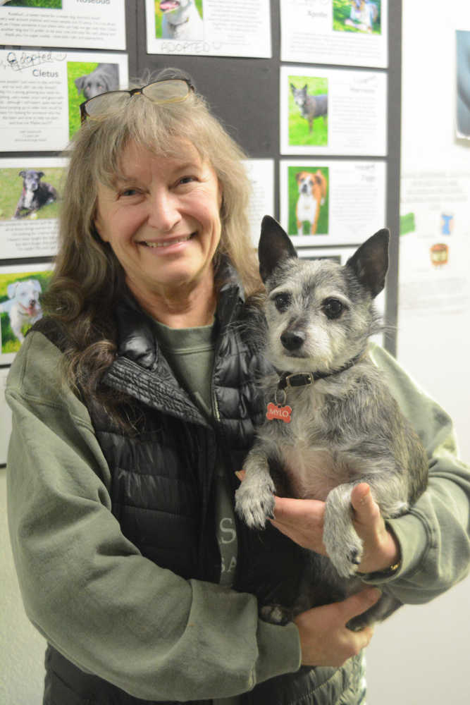 Homer Animal Control Officer Sherry Bess holds Mylo, a dog found in Homer that she was trying to reunite with his owner.