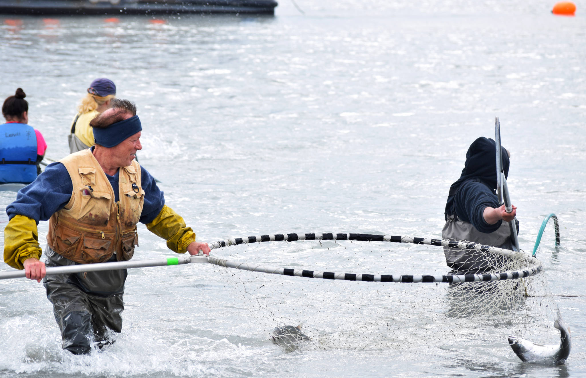 Kasilof fishery hot on high tide, silvers reach Kenai