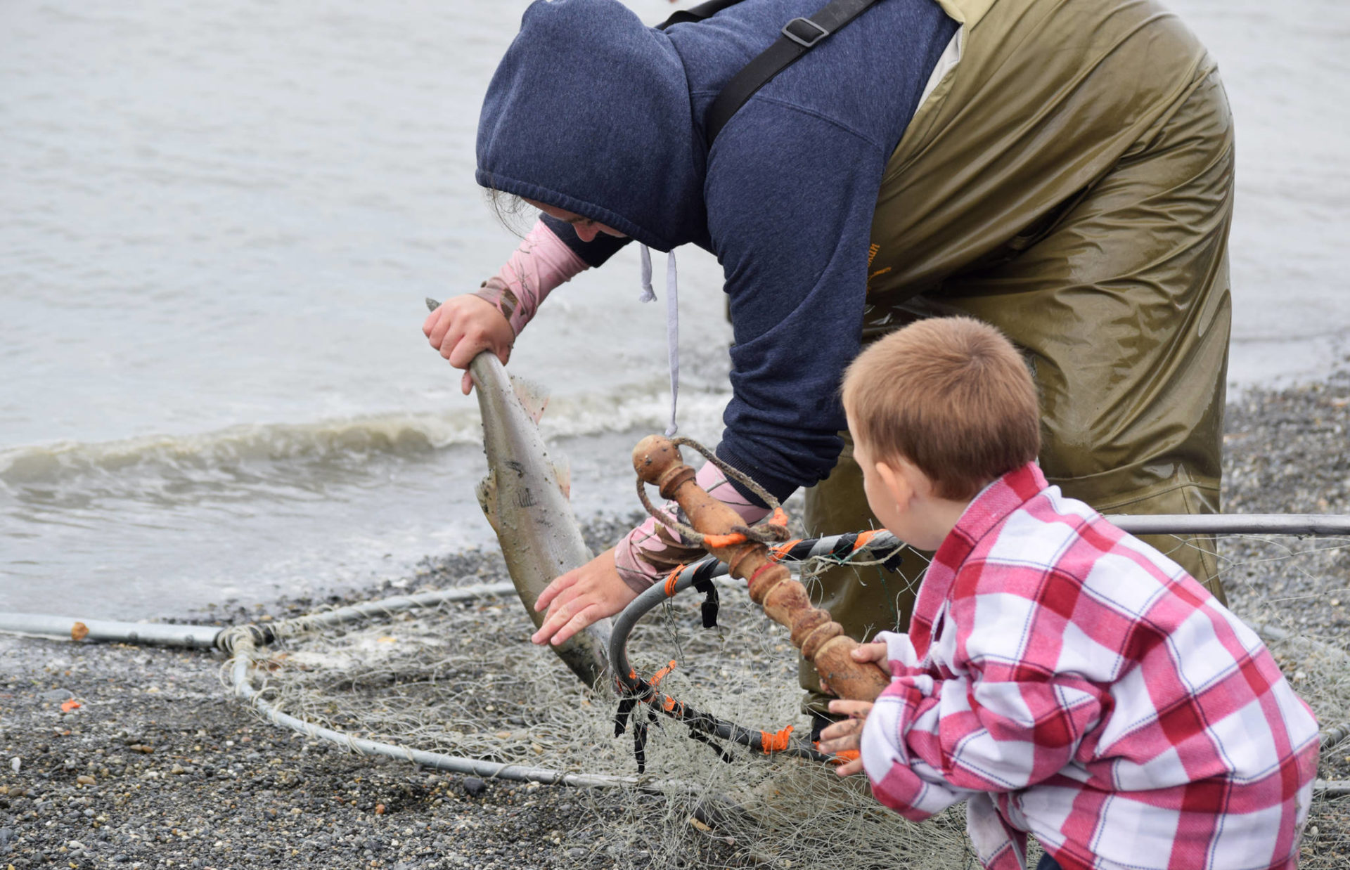 Kasilof fishery hot on high tide, silvers reach Kenai