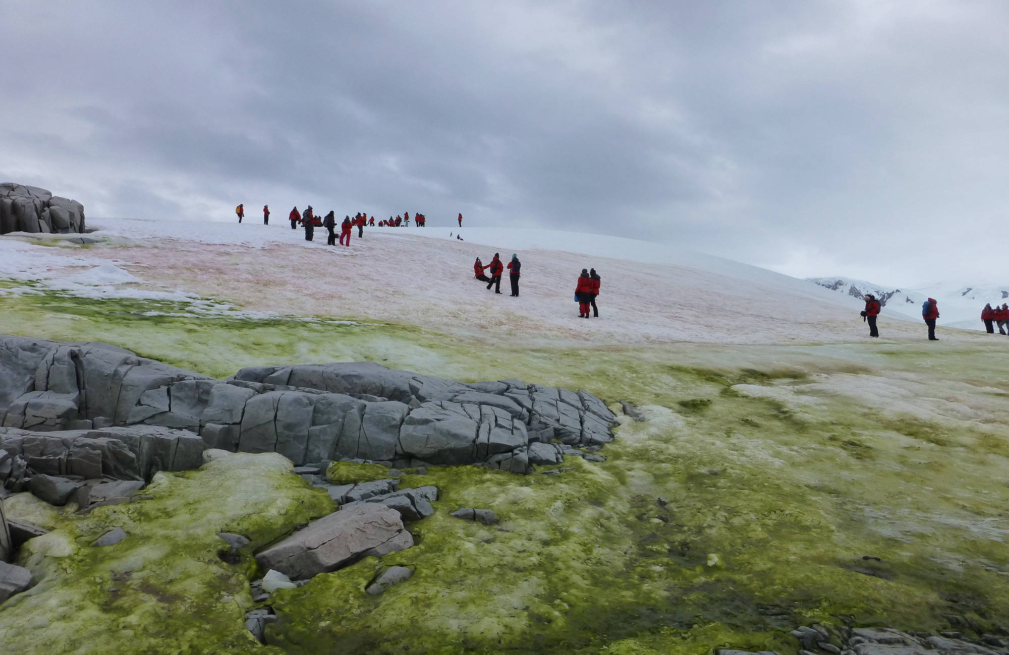 Homeward bound participants and snow algae make their presence known on Portal Point. (Photo provided by Sue Mauger)