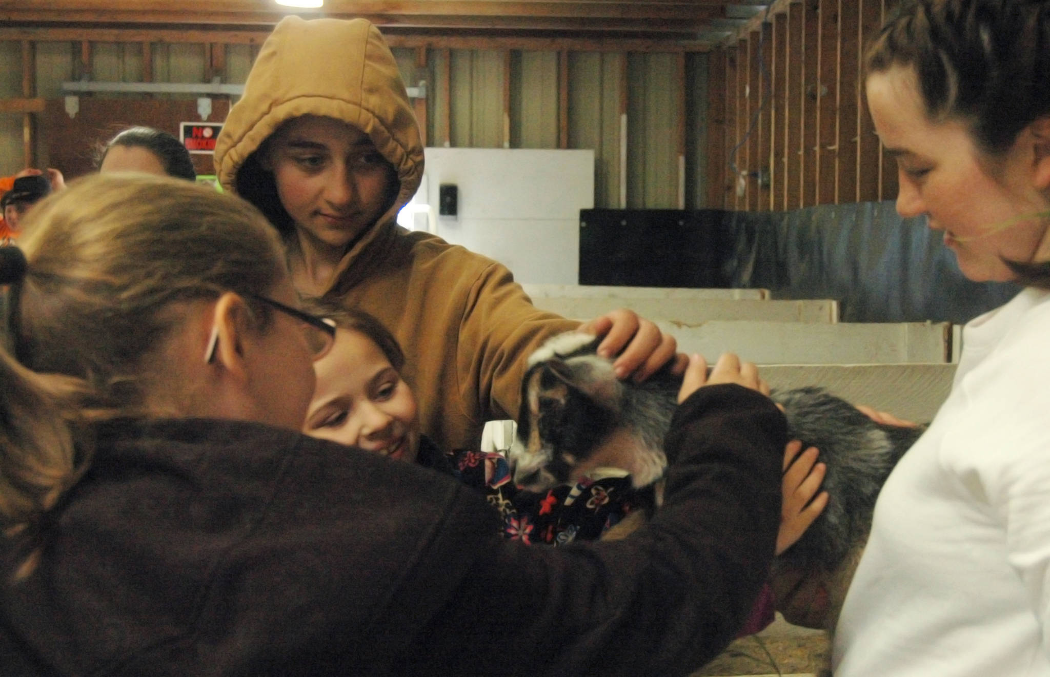 4-H club member Kellee Martin (right) holds up her baby Nigerian dwarf goat for visitors to pet at the Kenai Peninsula Fair on Saturday, Aug. 18, 2018 in Ninilchik, Alaska. (Photo by Elizabeth Earl/Peninsula Clarion)