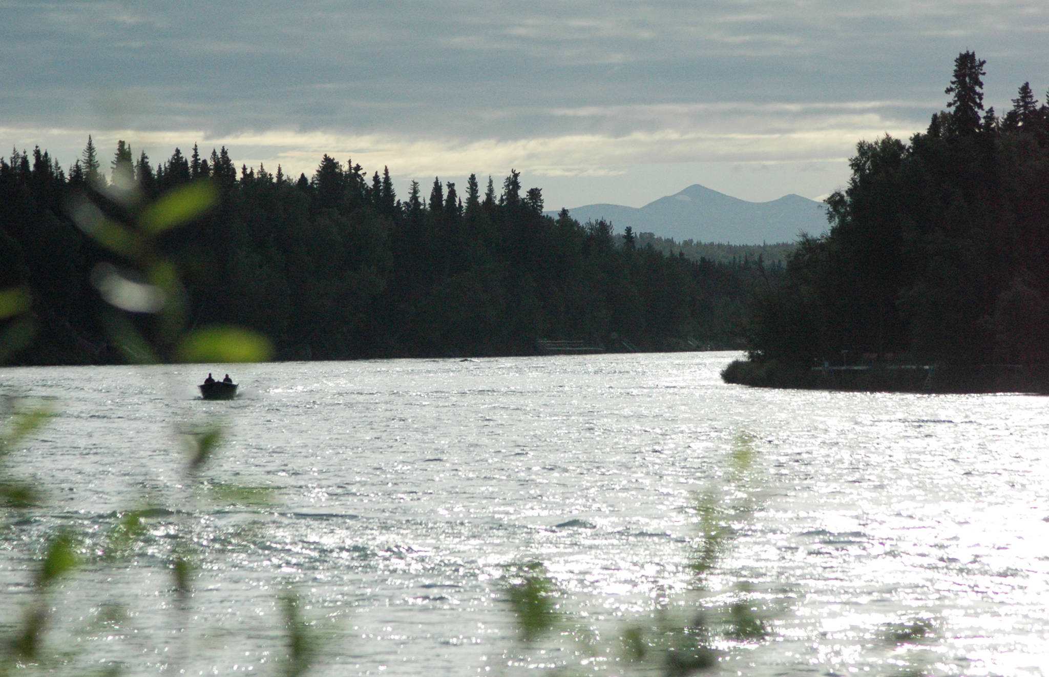 A boat motors down the Kenai Rier just upstream of Soldotna Creek Park on Wednesday, Aug. 22, 2018 in Soldotna, Alaska. (Photo by Elizabeth Earl/Peninsula Clarion)