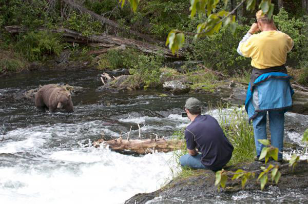 Kenai Brown Bear Committee, Alaska Department of Fish and Game