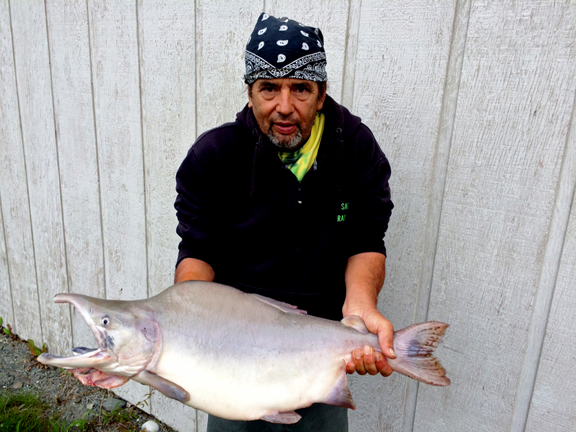 Thomas Salas holds the pink salmon he caught Monday, Aug. 22, 2016 in the Kenai River. The fish weighed in at 12 pounds, 13 ounces, beating the previous state record of 12 pounds, 9 ounces. Salas held the record for a few hours before Robert Dubar brought in his 13 pound, 10.6 ounce fish.