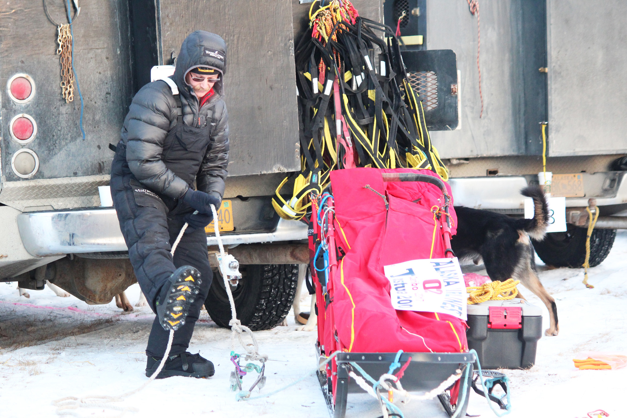 Musher Mitch Seavey prepares his sled before the start of this year's Tustumena 200 Sled Dog Race on Saturday, Jan. 28, 2017 in Kasilof, Alaska. (Megan Pacer/Peninsula Clarion)