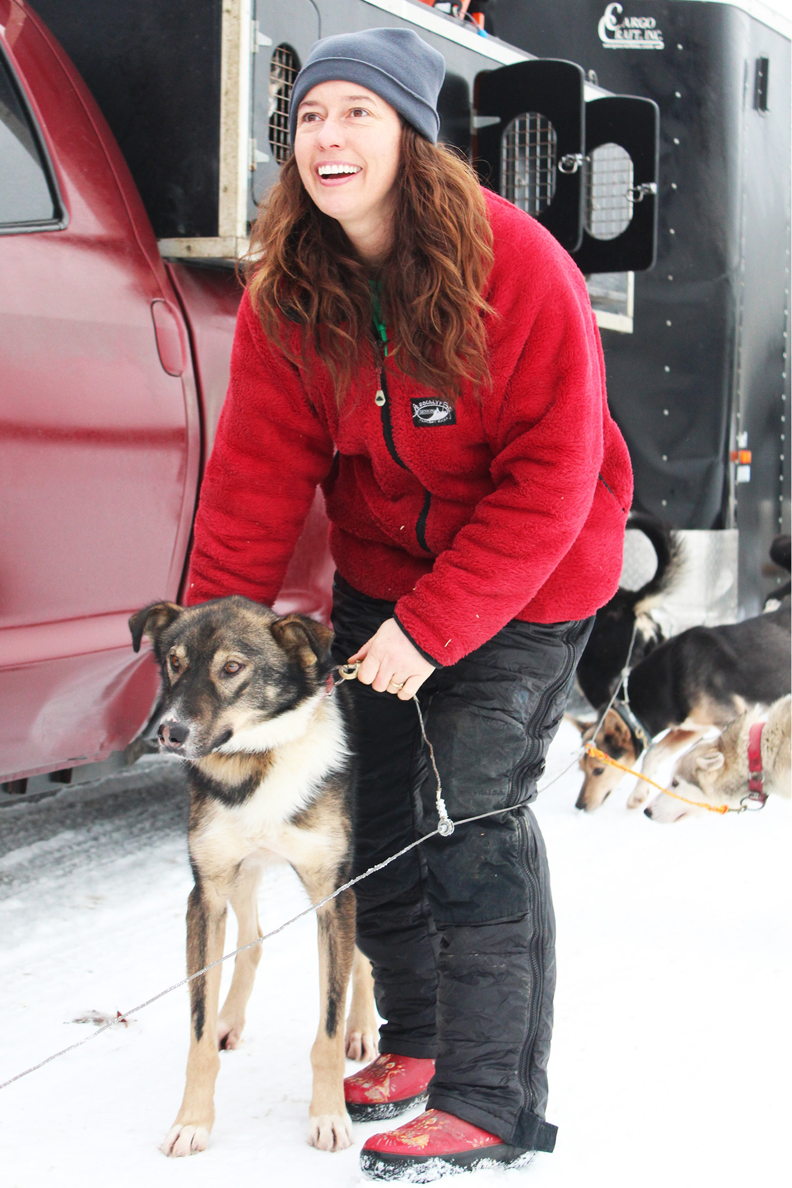 Kristin Bacon clips a sled dog named Crosby onto a line before her team gets checked by veterinarians Friday, Jan. 27, 2017 outside the Soldotna Regional Sports Complex in Soldotna, Alaska. Crosby, who is racing with Bacon in the Tustumena 200 Sled Dog Race, suffered a broken leg in the 2016 Iditarod Trail Sled Dog Race when musher Jeff King and his team were hit by a man on a snowmobile who was driving drunk. The man had aimed his snowmobile at King and the sled of another musher, and was later sentenced to jail time and ordered to pay restitution. No one had high hopes that Crosby would race again, Bacon said, but he has made an impressive recovery. (Megan Pacer/Peninsula Clarion)