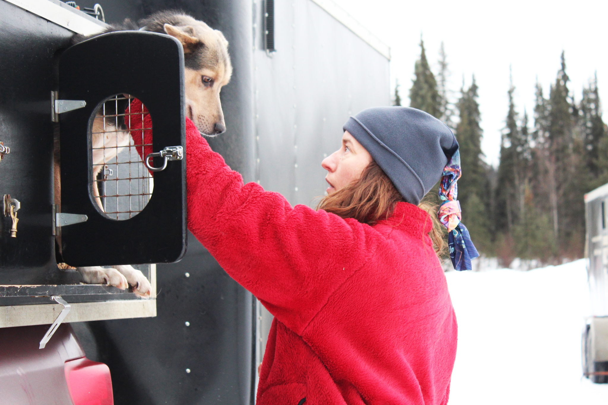 Kristin Bacon removes a sled dog named Willow from a truck in preparation for a veterinary check Friday, Jan. 27, 2017 outside the Soldotna Regional Sports Complex, ahead of the long-awaited Tustumena 200 Sled Dog Race. The race, which kicks off in Kasilof and weaves 200 miles through the Caribou Hills, has been canceled the last few years due to lack of snow on the Kenai Peninsula. (Megan Pacer/Peninsula Clarion)