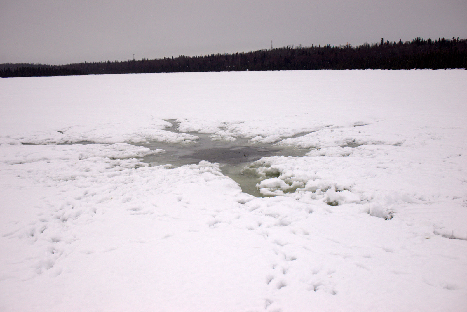 Despite two feet of ice, a big spider hole formed on Headquarters Lake from the weight of recent snow. (Photo courtesy Kenai National Wildlife Refuge)