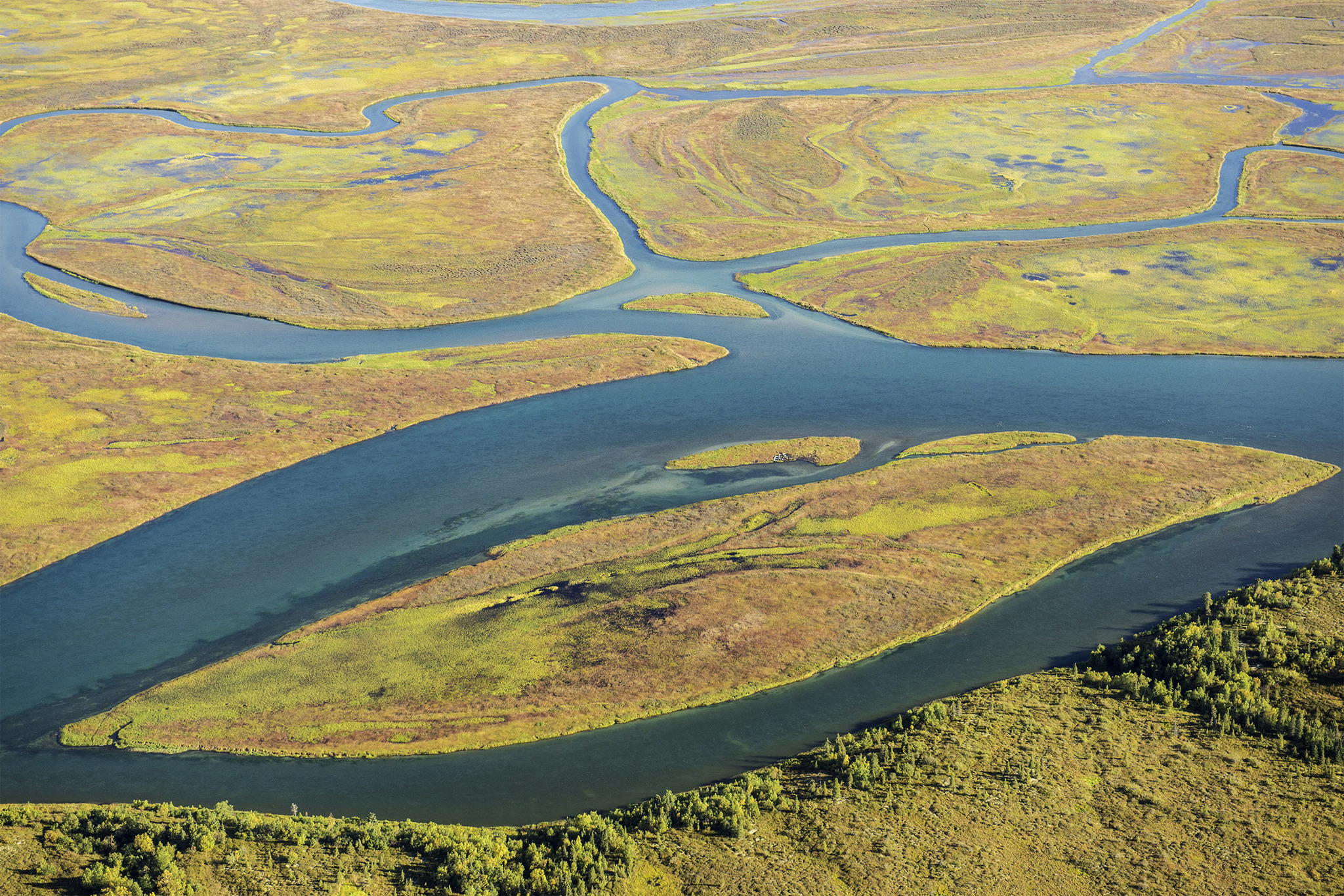 Photographer observes Bristol Bay