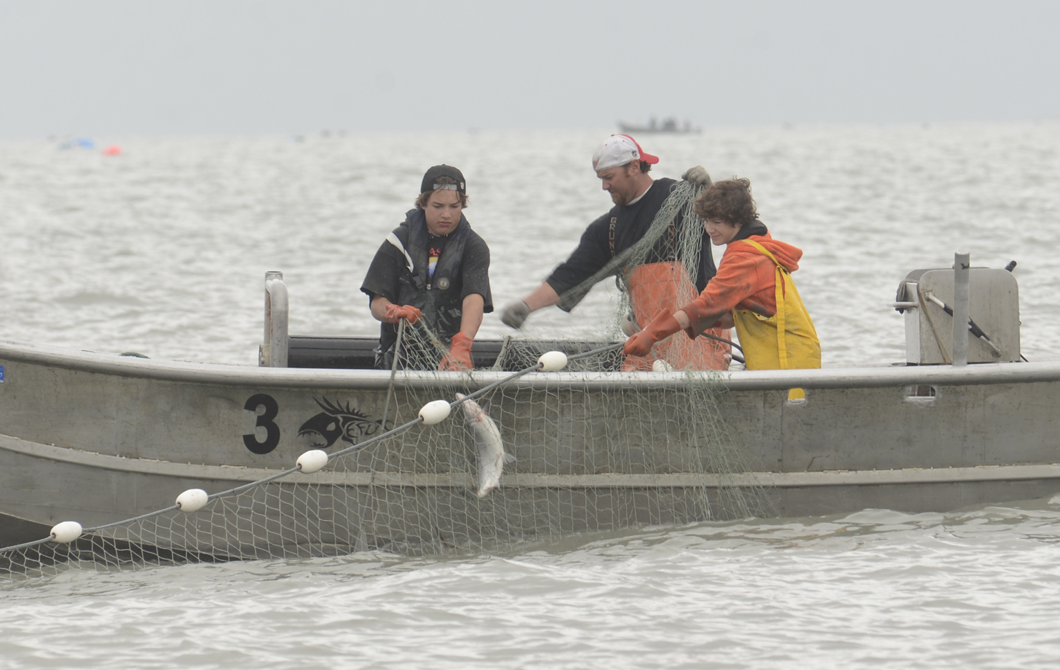 In this July 9, 2014 file photo Devin Every, Travis Every and Damien Redder pick fish from a setnet in Kenai. On Tuesday, the Board of Fisheries approved measures affecting east side set-netters. (Clarion file photo)